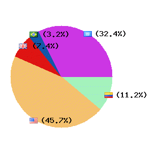 Pie chat showing the top countries